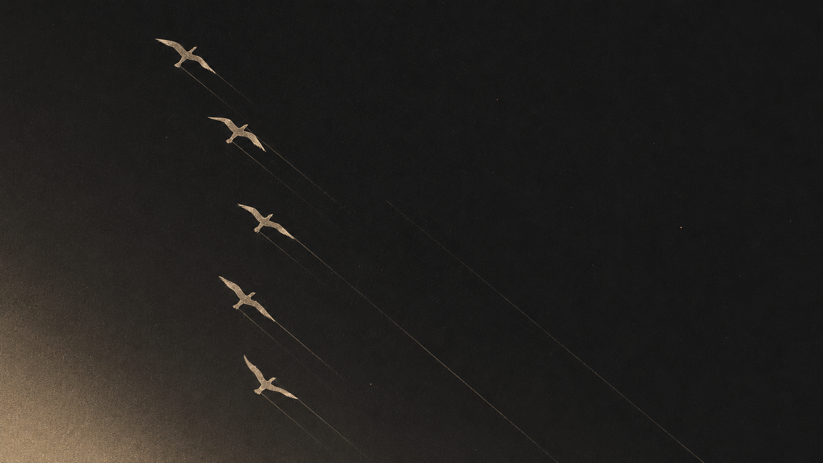 A flock of birds in formation against a dark sky